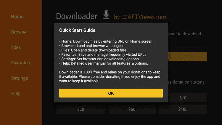 Downloader Quick Start Guide on Firestick, press OK to reach the URL box
